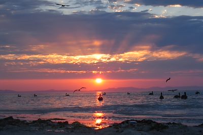 Plage de Tecolote - Basse Californie - Mexique