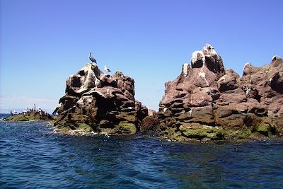 Isla espiritu Santo - Basse Californie - Mexique