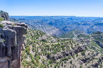 Canyon Copper - Barrancas del Cobre - Mexique