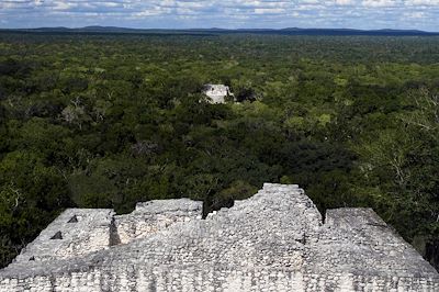 Calakmul - Mexique