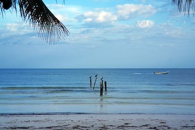 Holbox - Mexique