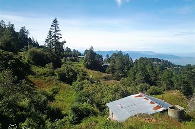 Randonnée au coeur de la Sierra Norte - Mexique