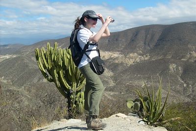 Biosphère de Tehuacan - Mexique