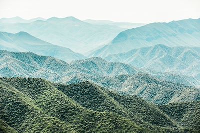 Montagne dans la région d'Oaxaca, Mexique