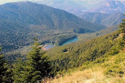 Parc Biogradska Gora - Monténégro