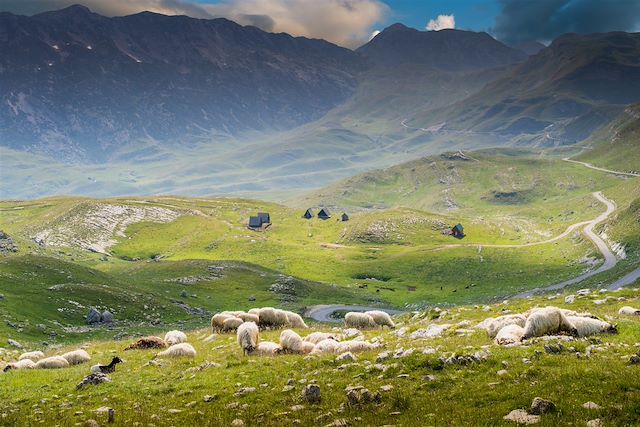 Voyage Du Durmitor aux Bouches de Kotor