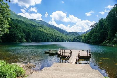 Parc national de Biogradska Gora - Monténégro