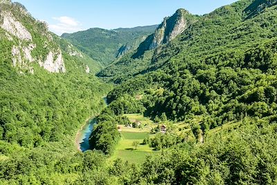 Canyon de la Tara - Parc national de Durmitor - Monténégro