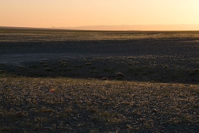 Bayanzag - Désert de Gobi - Mongolie