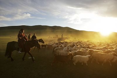 Famille nomade à cheval guidant un troupeau - Steppes - Tsenkher Valley 