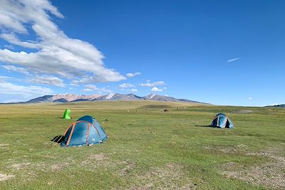 Massif du Kharkhiraa Turgen - Mongolie