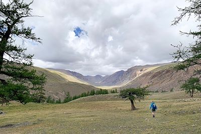 Massif du Kharkhiraa Turgen - Mongolie