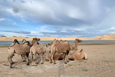 Massif du Kharkhiraa Turgen - Mongolie