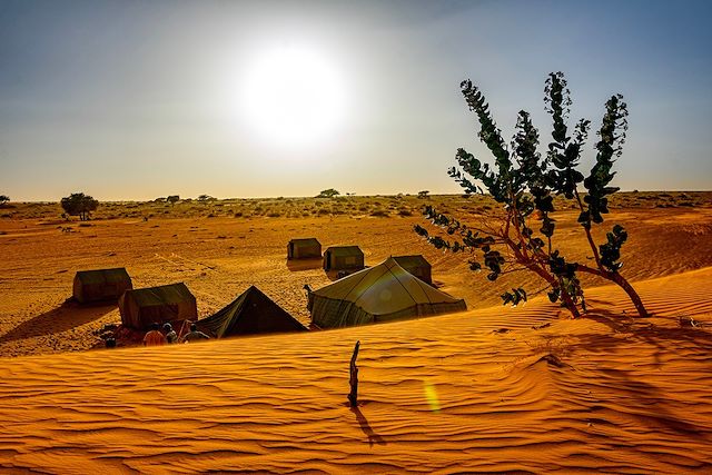 Voyage Voyage astronomie en Mauritanie avec Benoît Reeves