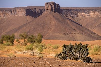 Oued el Tenzzent - Les oasis de l'Adrar - Mauritanie