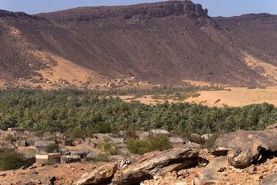 Palmeraie de Toungad - Les oasis de l'Adrar - Mauritanie