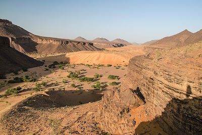 Canyon - Mauritanie