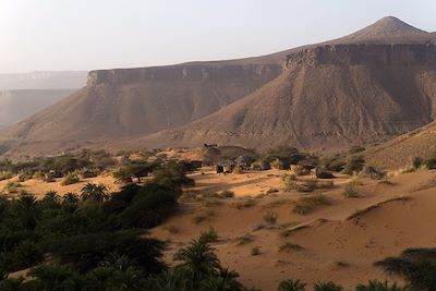 Palmeraie de Terjit - Les oasis de l'Adrar - Mauritanie