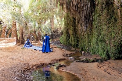 Palmeraie de Terjit - Les oasis de l'Adrar - Mauritanie