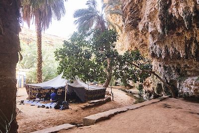 Oasis de Terjit, Mauritanie 