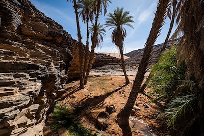 Terjit - Mauritanie