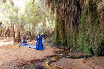 Palmeraie de Terjit - Les oasis de l'Adrar - Mauritanie