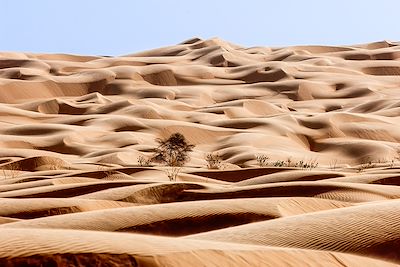 Région de l'Adrar en Mauritanie