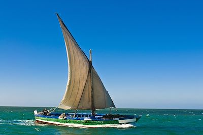 Voilier traditionnel dans les eaux du banc d'Arguin - Mauritanie