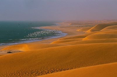 Banc d'Arguin - Mauritanie