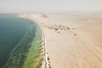 Village de pêcheurs sur le bassin d'Arguin en Mauritanie