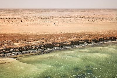 Parc national du Banc d'Arguin - Mauritanie