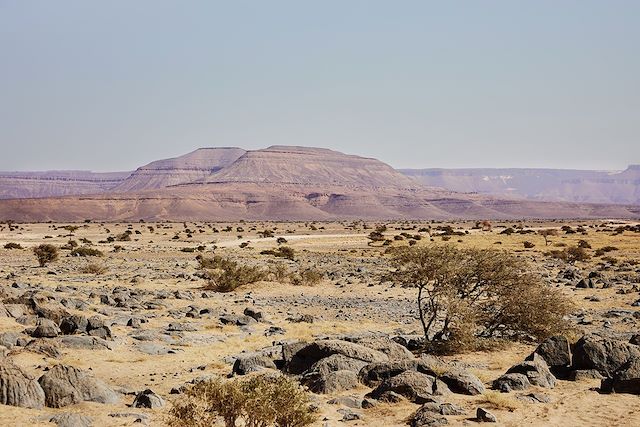 Voyage Les oasis de l'Adrar