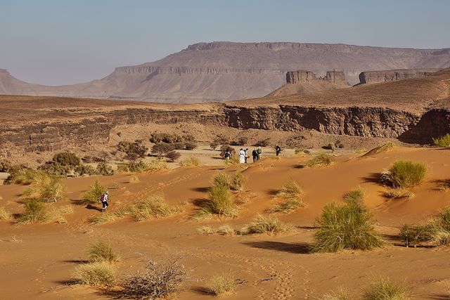 Voyage Les oasis de l'Adrar