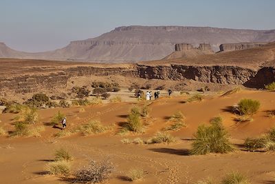 Les oasis de l'Adrar