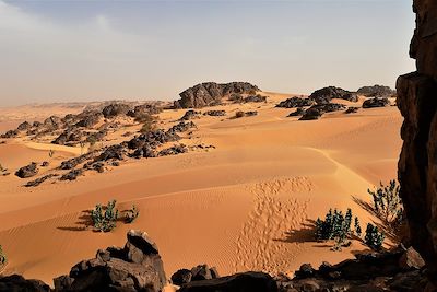 Chaîne de Zarga - Mauritanie