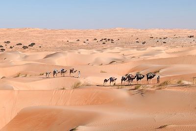 Chinguetti et les dunes de l'erg Ouarane