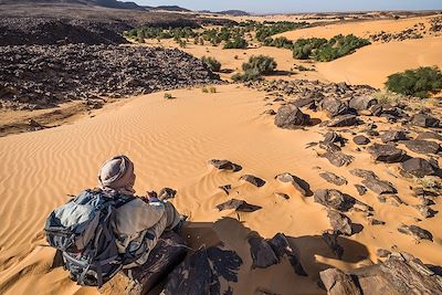 Maaden - Jouali - Mauritanie