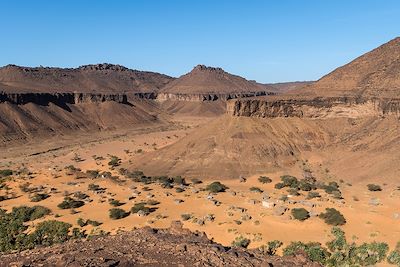 Terjit - Mauritanie