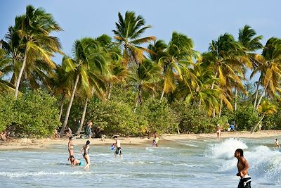 Plage de la Grande Anse des Salines - Martinique