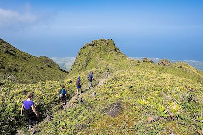 La Montagne Pelée - Martinique