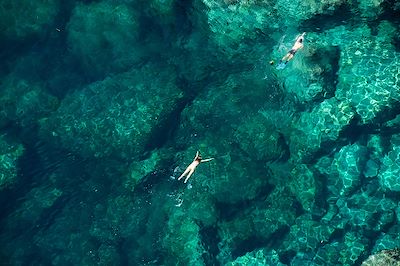 Snorkeling dans la mer des Caraïbes - Martinique 