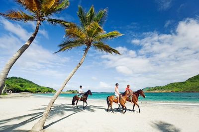 Multi-activités en Martinique