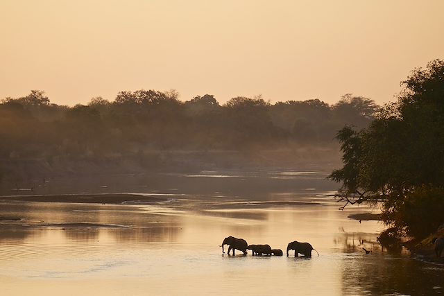 Voyage Du lac Malawi aux berges de la Luangwa