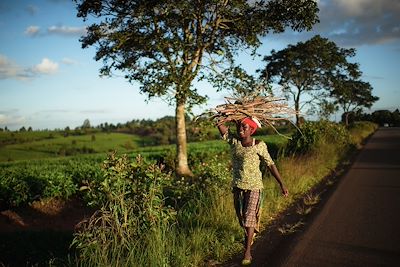 Villagoise - Malawi