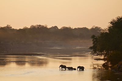 Parc national de South Luangwa - Zambie