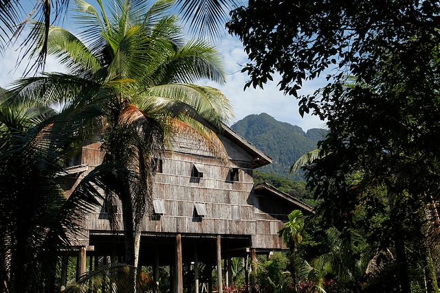 Voyage Immersion dans la jungle de Bornéo