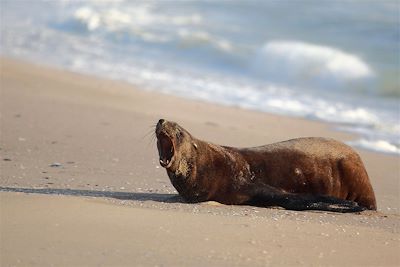 Pelican Lighthouse Lodge - Walvis Bay - Namibie