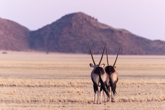 Voyage La Namibie à votre rythme en lodge