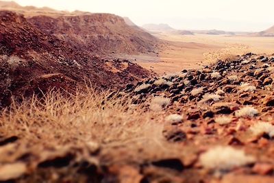 Trek Damaraland - Namibie