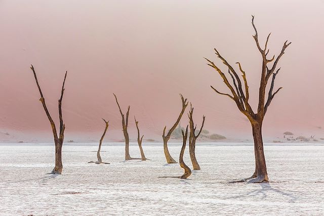 Voyage Echappée namibienne, de la simplicité à l'éclat